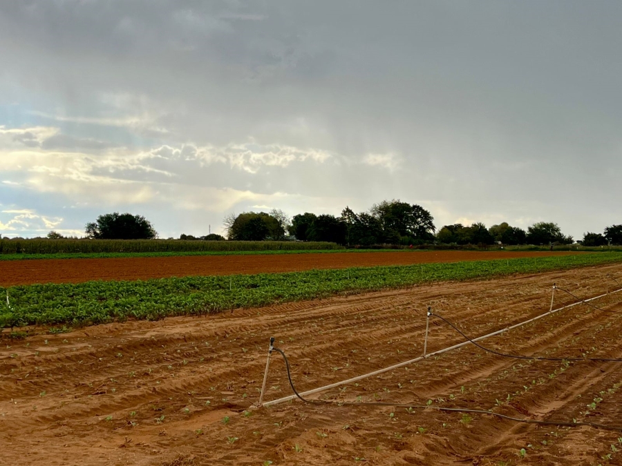 4 Bedroom Property for Sale in Bainsvlei Free State